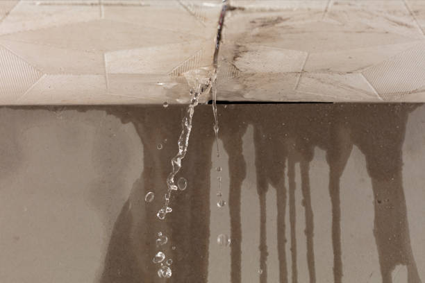 Professional Water Damage Inspection technician working in Mount Arlington, NJ